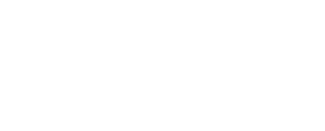 Bizgenics Foundation Logo White Transparent